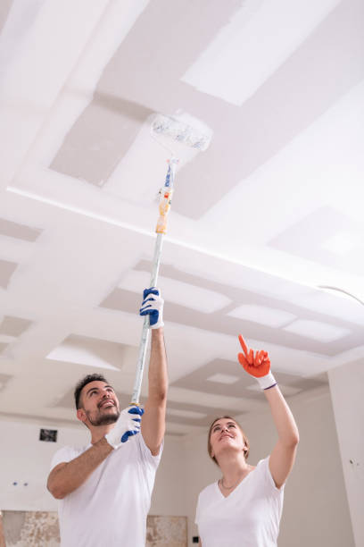 Best Comprehensive Air Testing for Mold Contaminants  in Ojus, FL