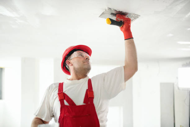Biohazard Mold Removal in Ojus, FL